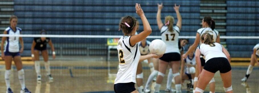 Volleyball team in action, highlighting the importance of teamwork and dedication.