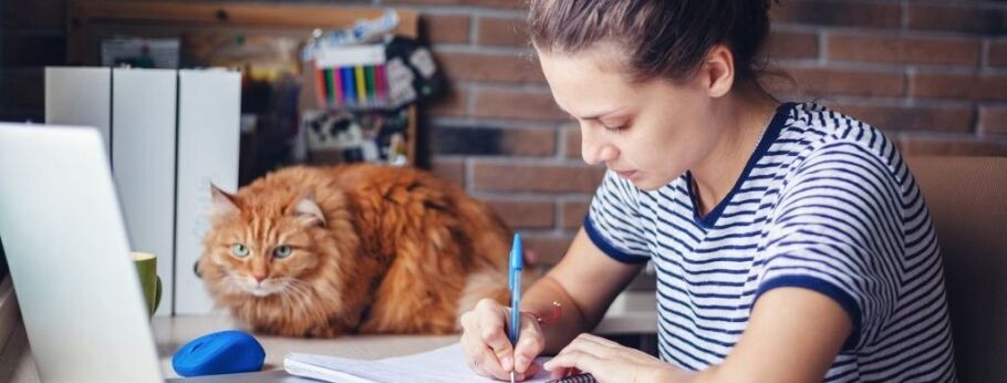Student writing with cat nearby, illustrating focused study and home learning.