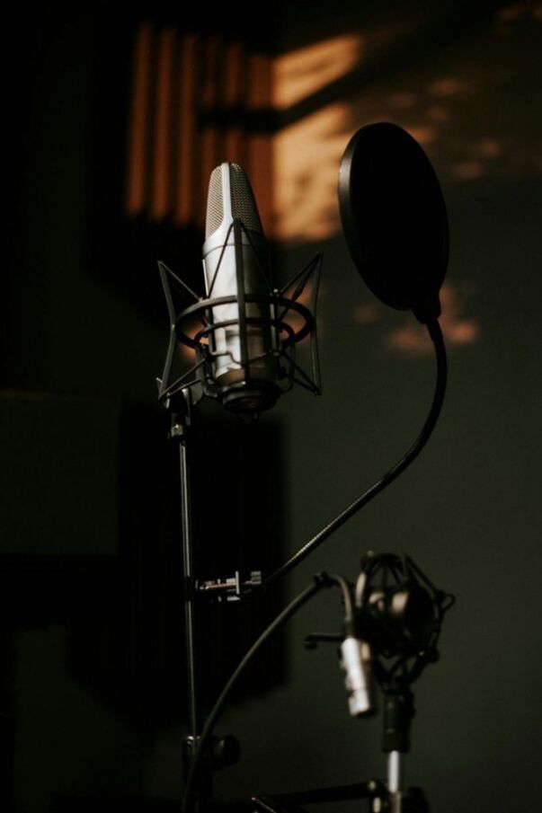 Studio microphone with pop filter, representing student voice and college application essays.