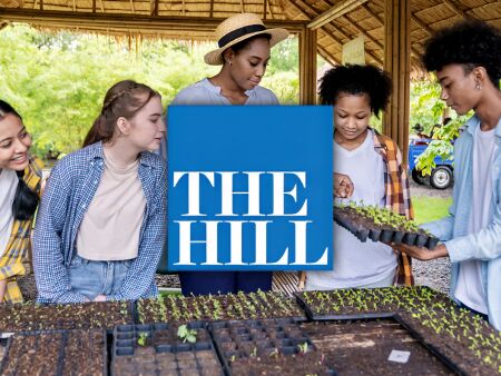 Use Summer for College Application Appeal News