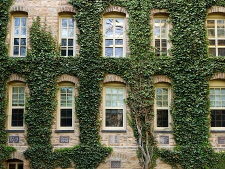 What If All My Dream Colleges Are Highly Selective?