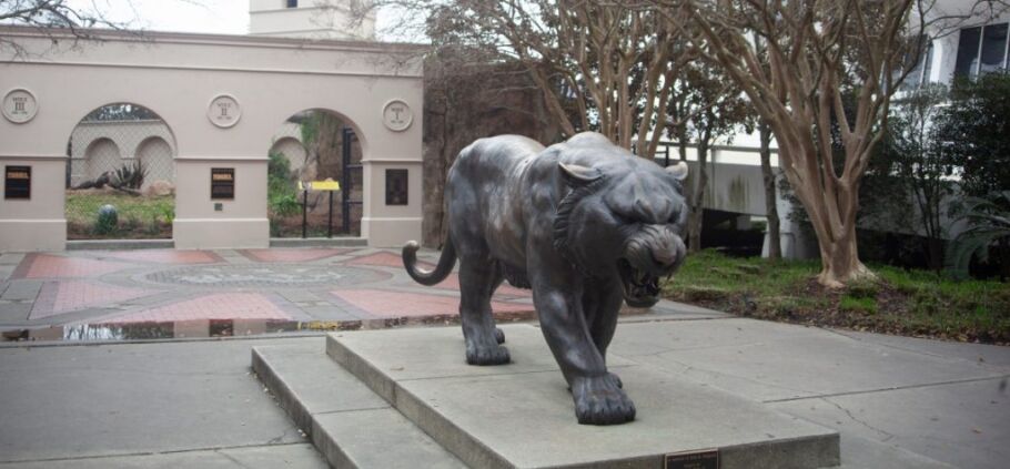 Statue of college mascot Mike the Tiger on LSU campus.